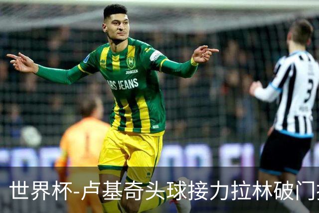 世界杯-卢基奇头球接力拉林破门扳平 加拿大1-1波黑